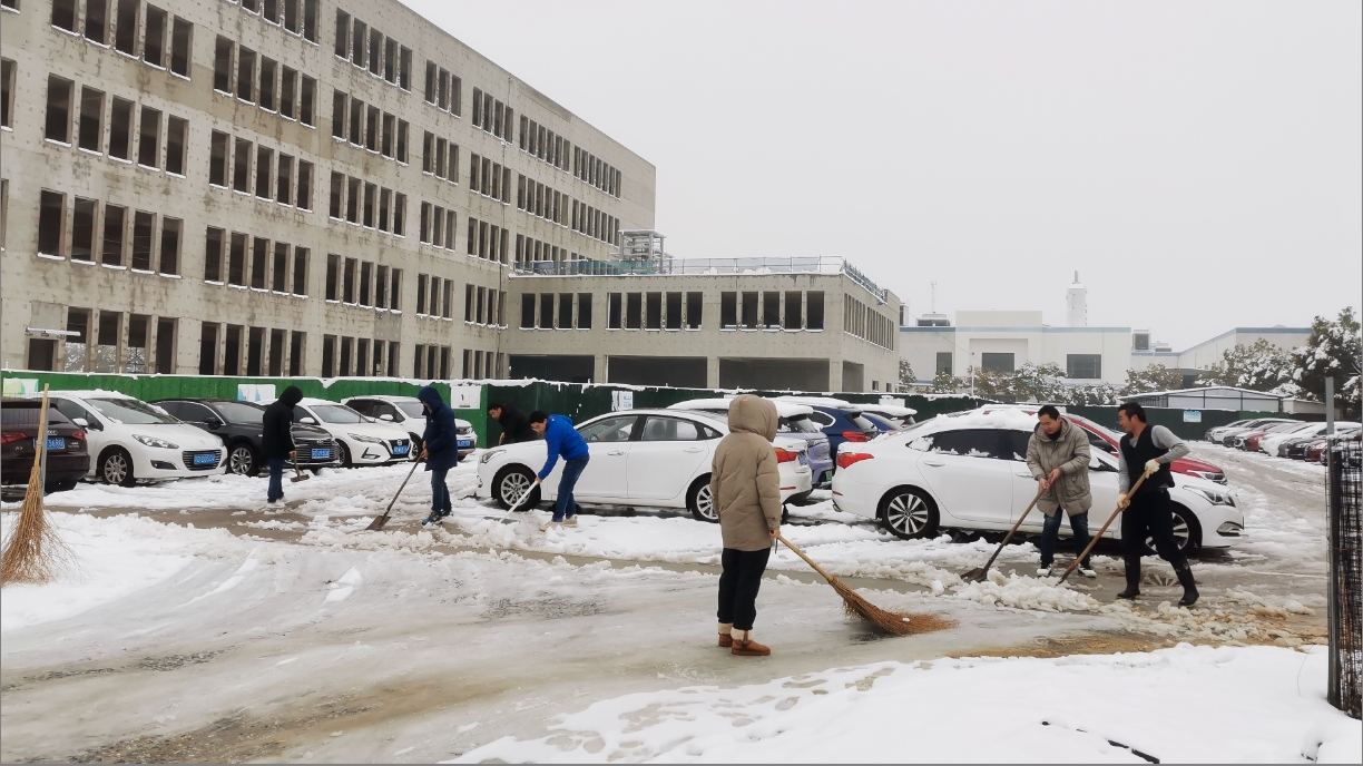 雪绽琼花日 扫雪暖心时丨球友会开展扫雪除冰活动